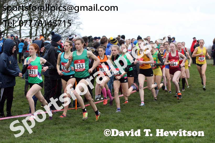 Intermediate girls 2019 New Balance English Schools Cross Country Champs, Temple Newsam, Leeds. Photo:  David T. Hewitson/Sports for All Pics
